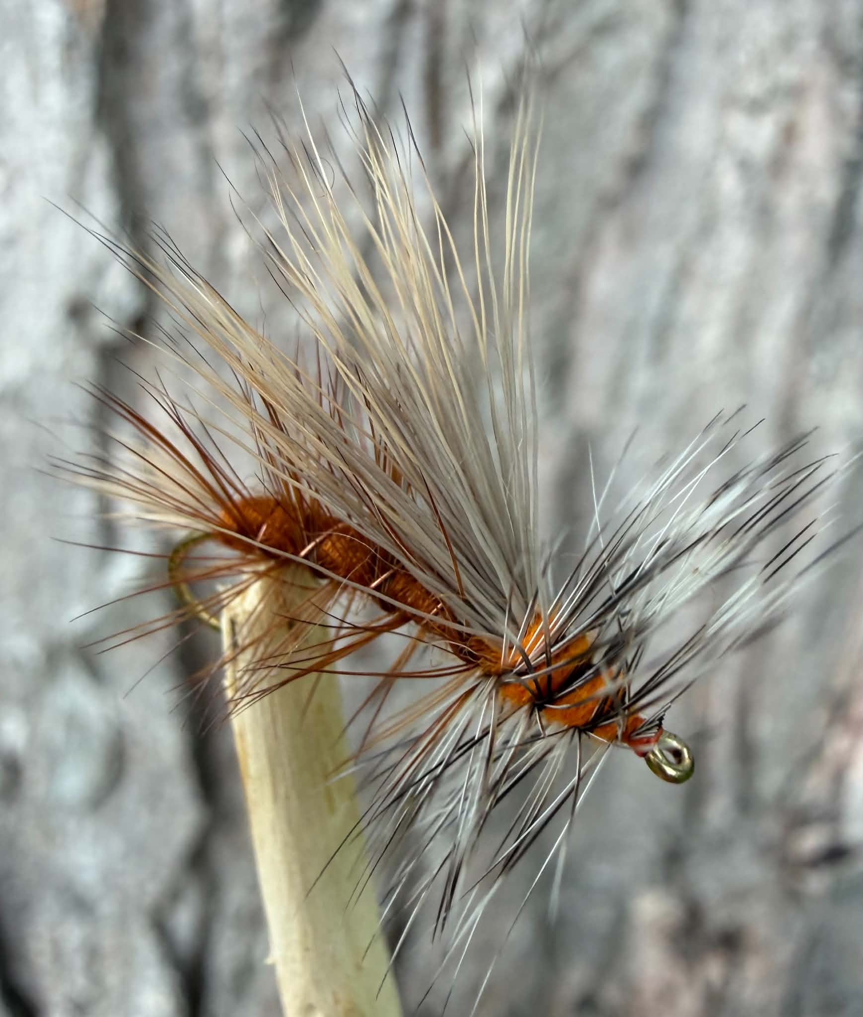 Morgan’s - Brown Stimulator #12