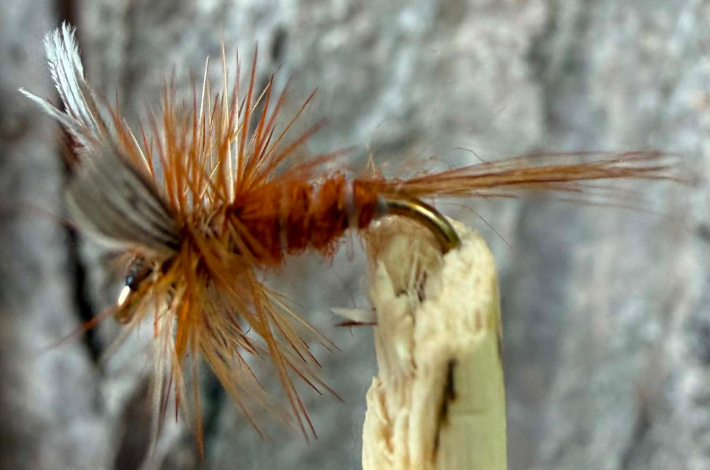 Morgan’s - Little Brown March #18