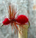 Morgan’s - Red Fur Ant #14