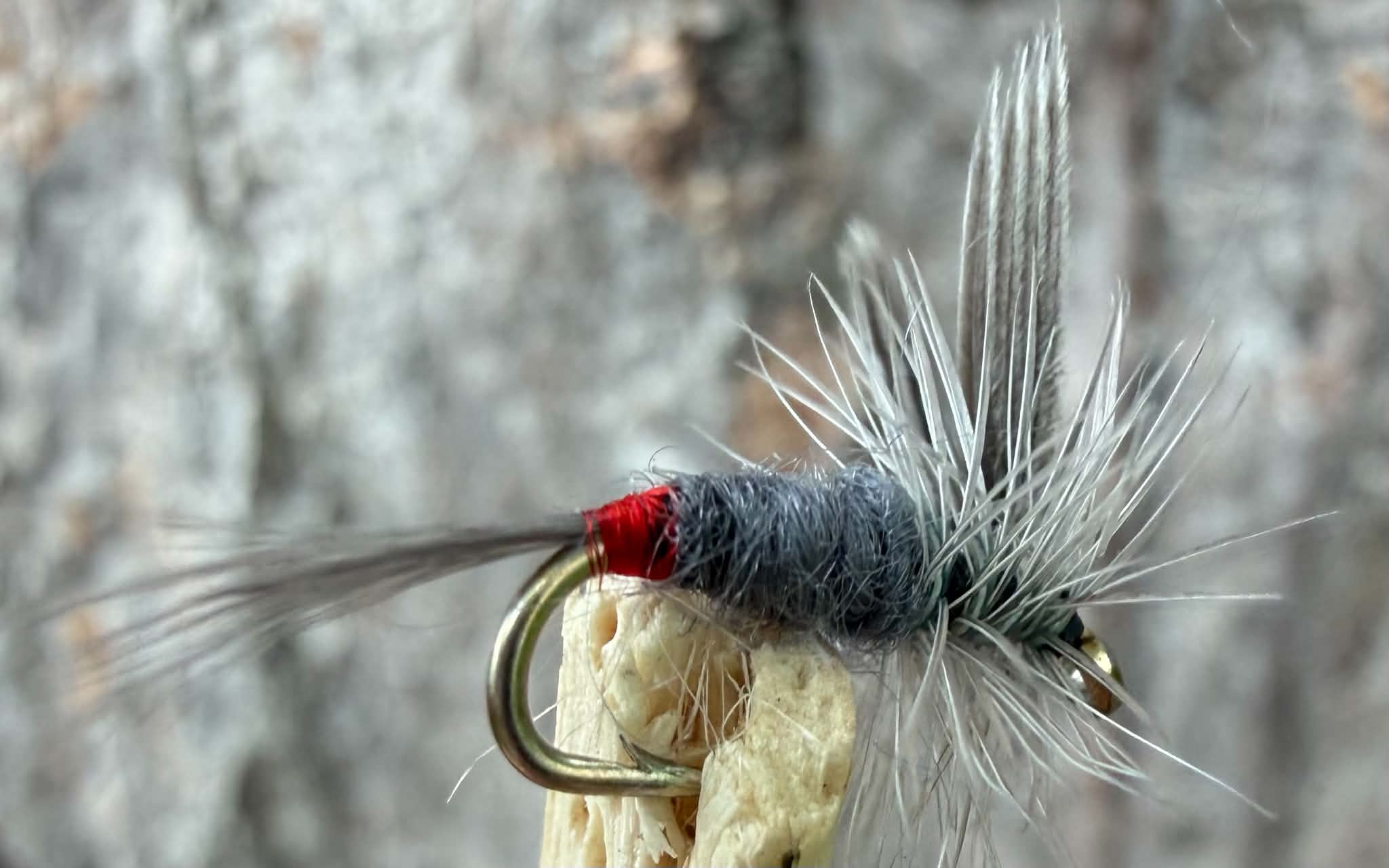 Morgan’s - Dun #18