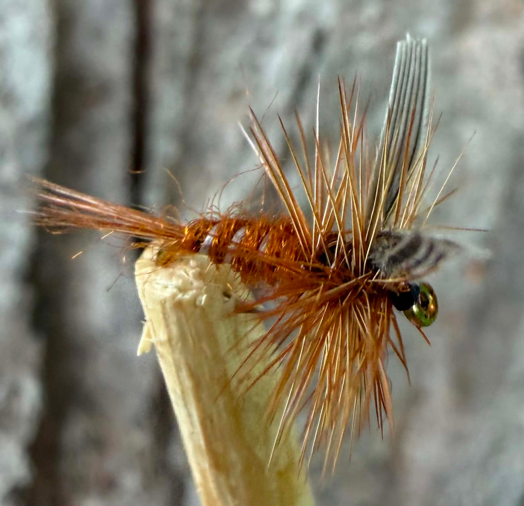 Morgan’s - Little Brown March #18