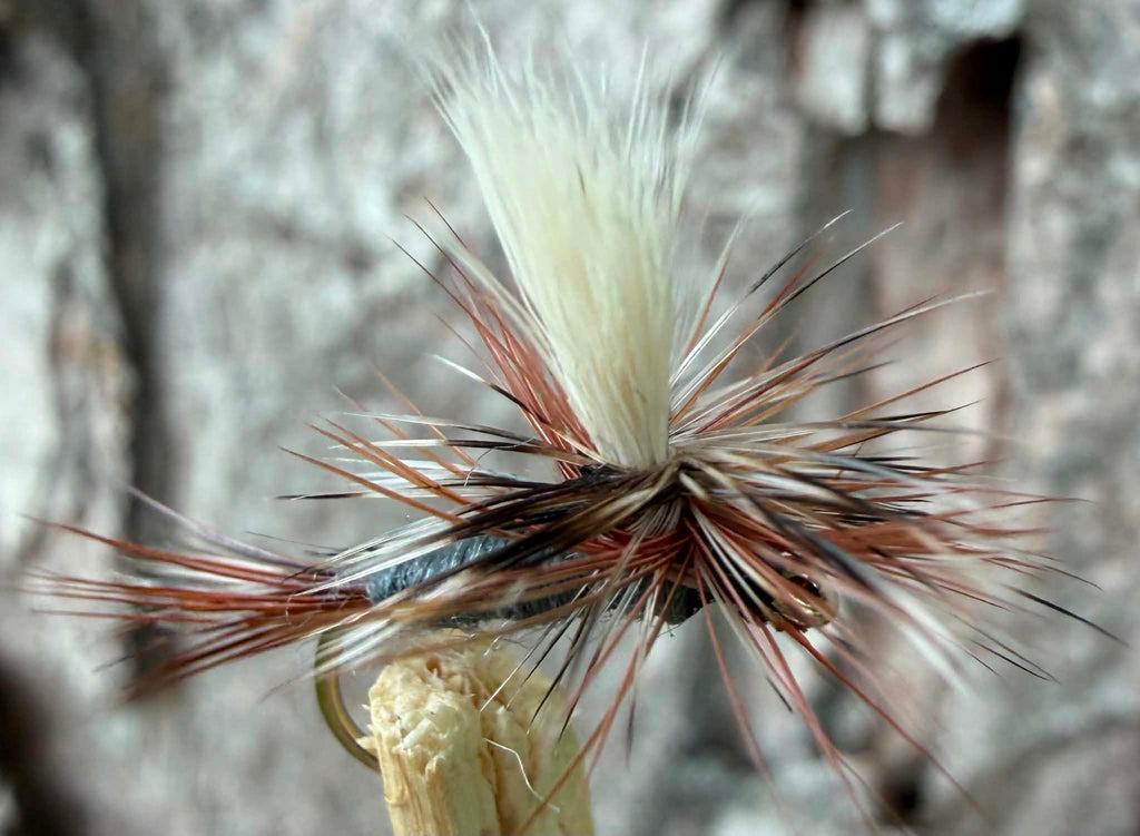Morgan’s - Parachute Adam’s #16