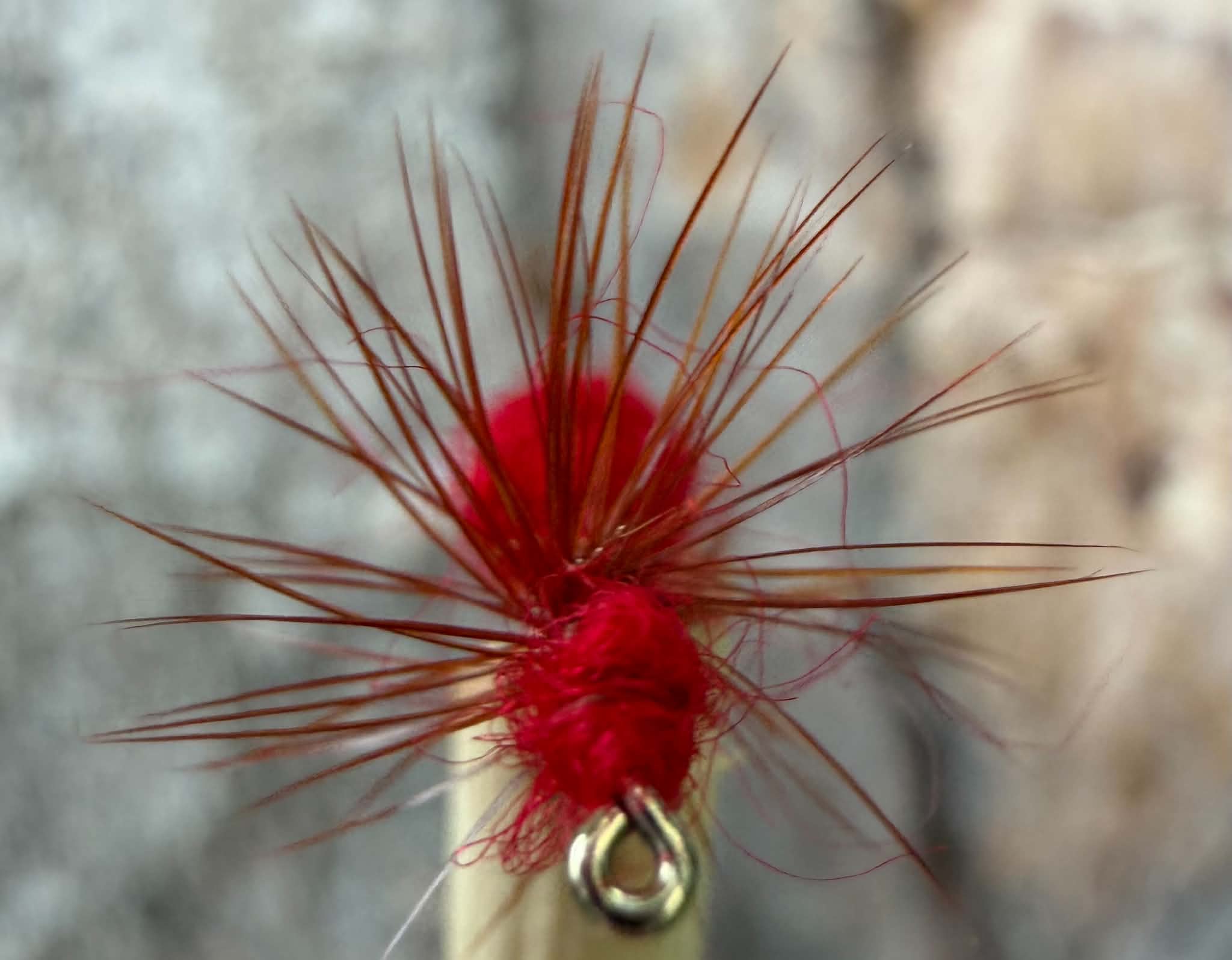 Morgan’s - Red Fur Ant #14