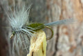 Morgan’s - Blue Wing Olive #18