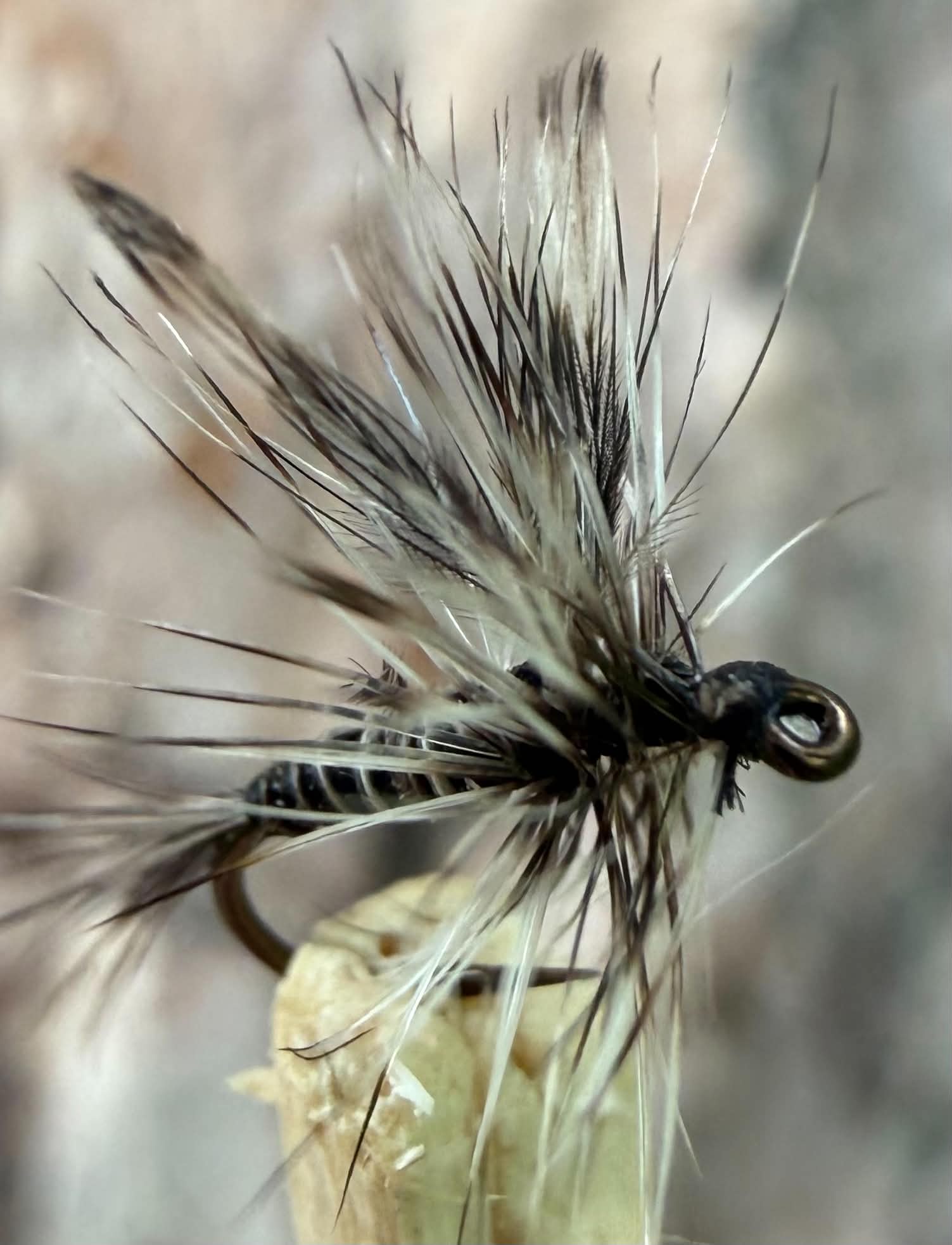 Morgan’s -  mosquito #18