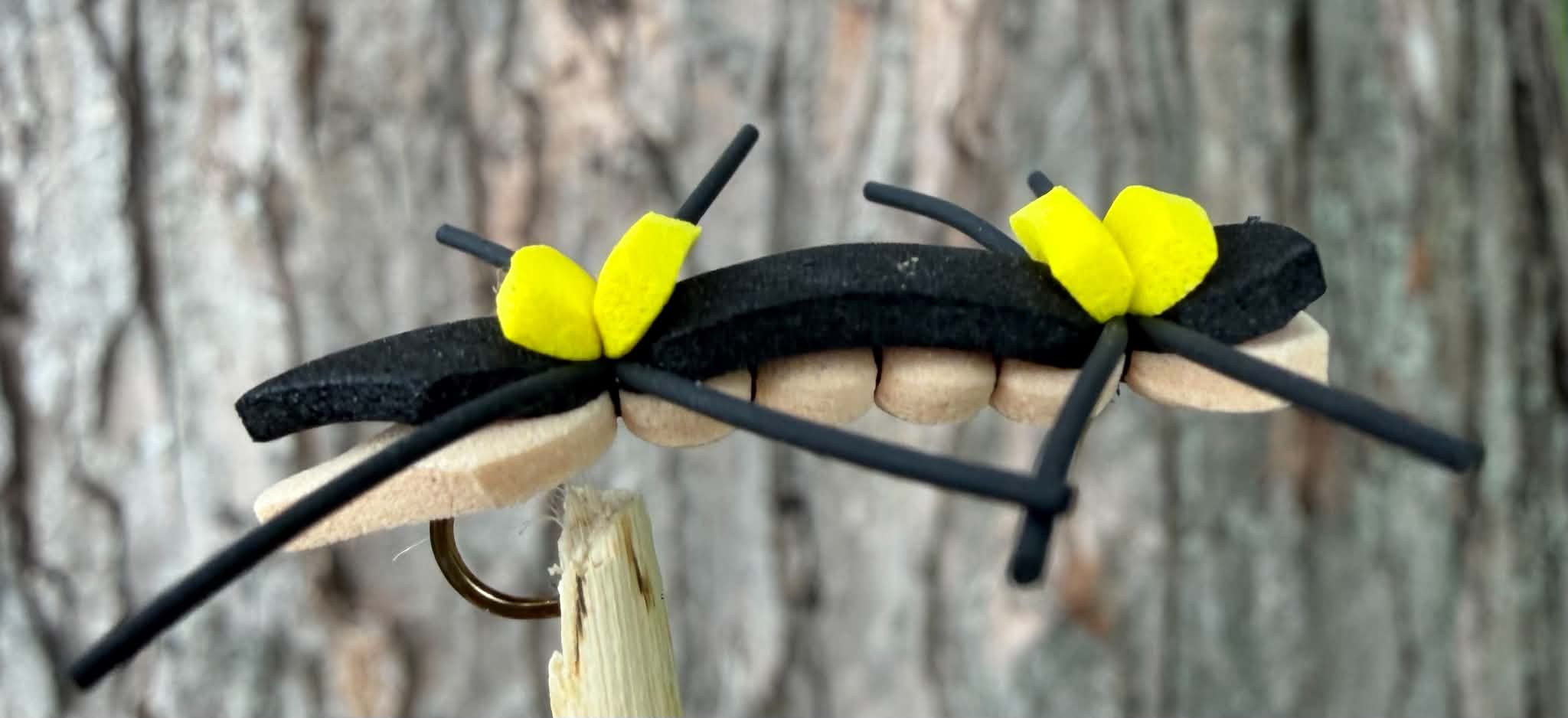 Kimani’s- Chernobyl Ant (Tan)