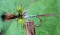 Morgan’s - Crippled Green Drake