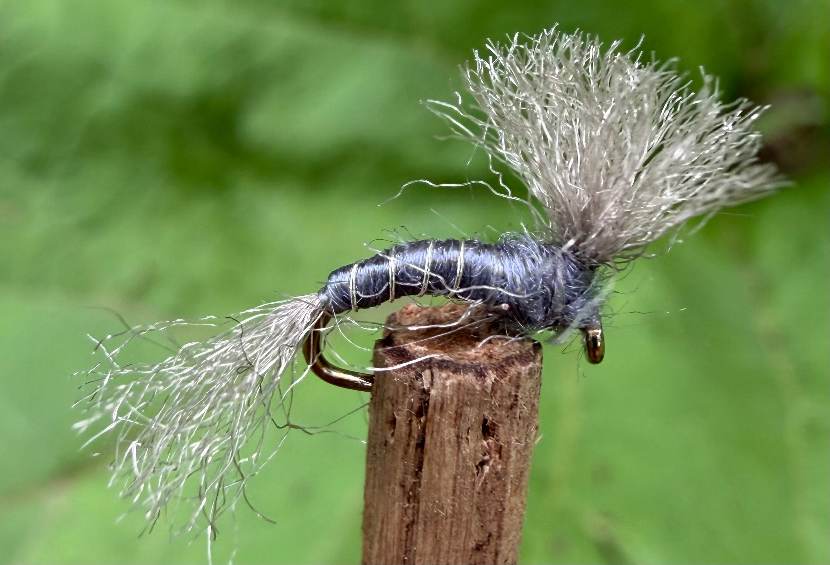 Morgan’s - Emerging Callibaetis