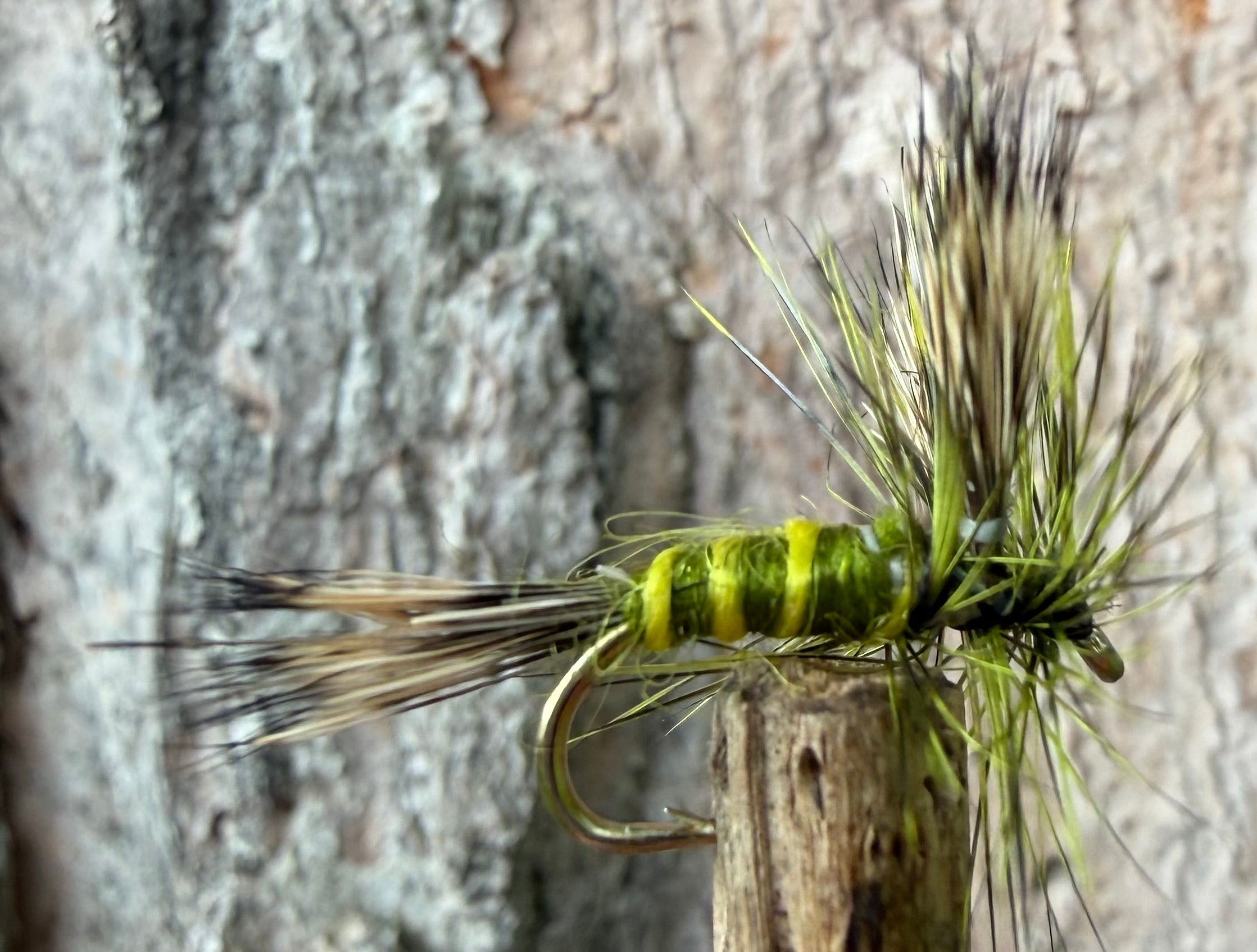 Morgan’s - Green Drake ￼