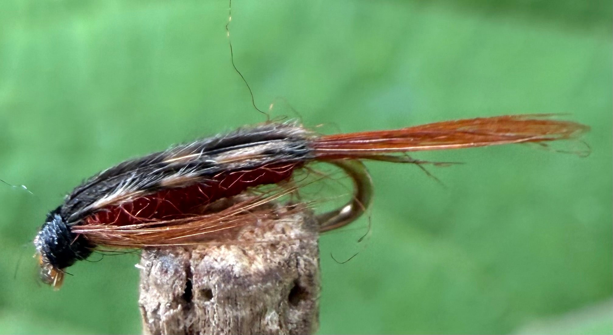 Morgan’s - Stillborn Caddis