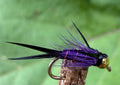 Morgan’s - Purple Spider Snipe