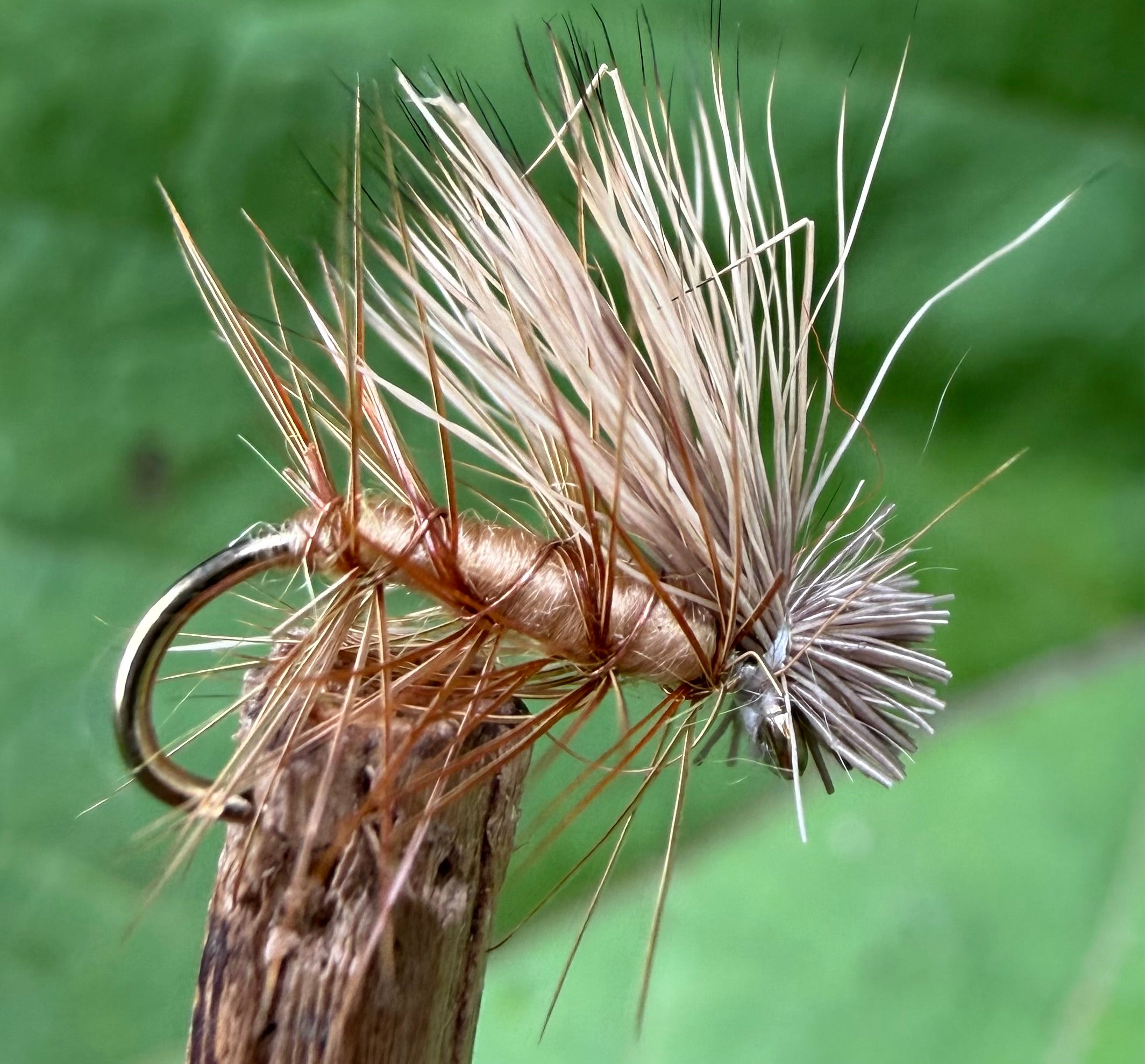 Morgan’s - Elk Hair Caddis