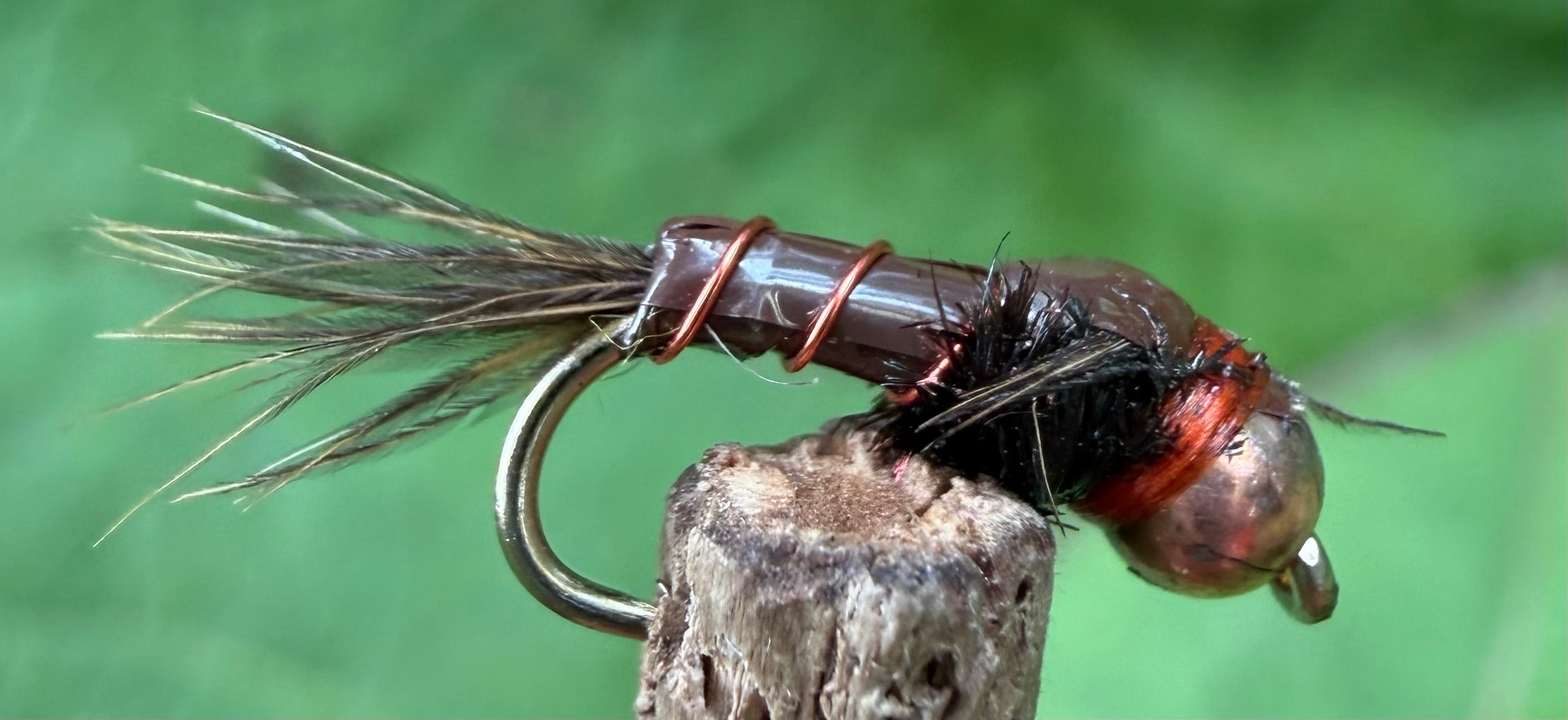 Morgan’s - Copper Bug
