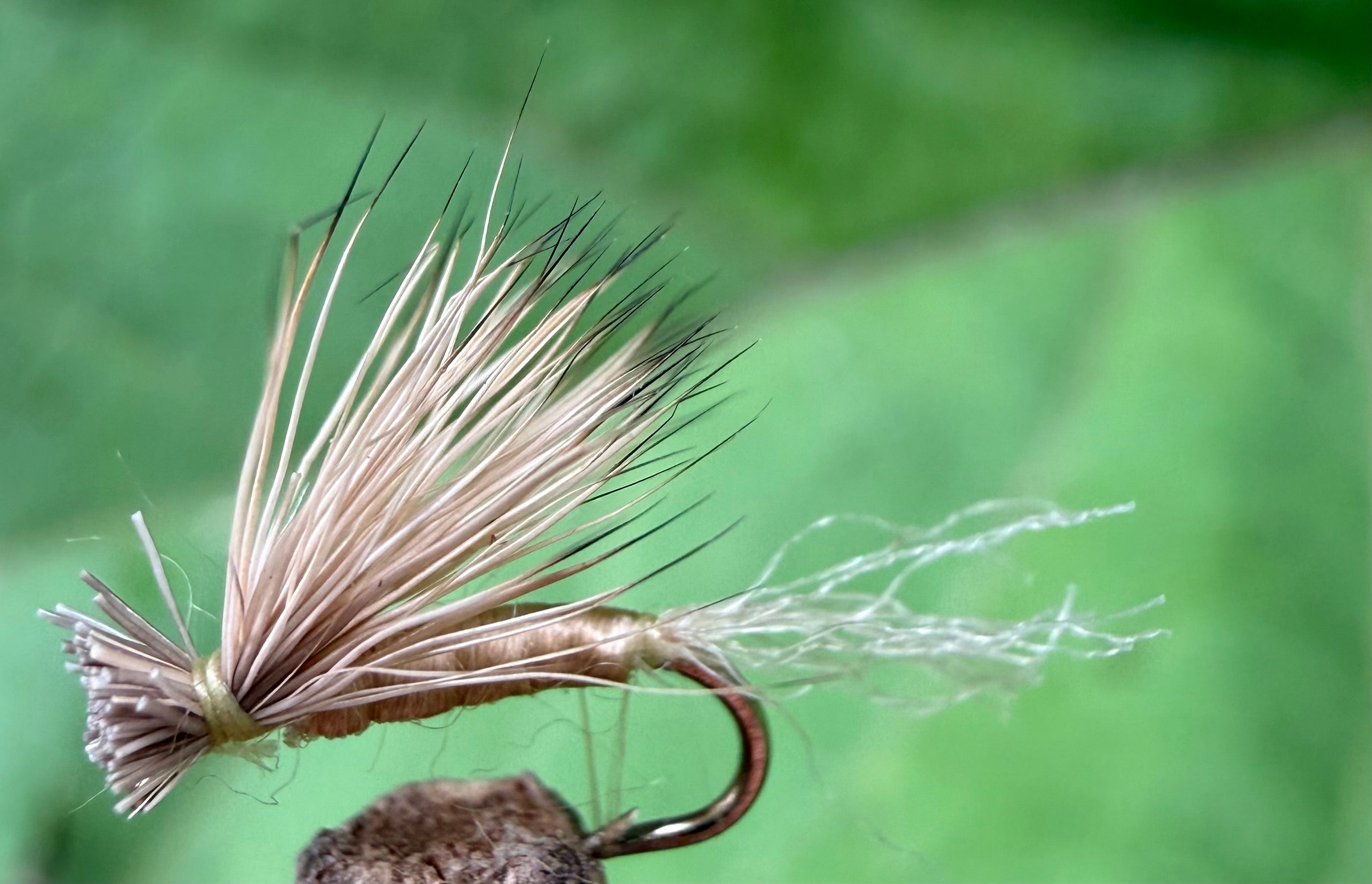 Morgan’s - X Caddis