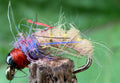 Morgans - Free Living Caddis